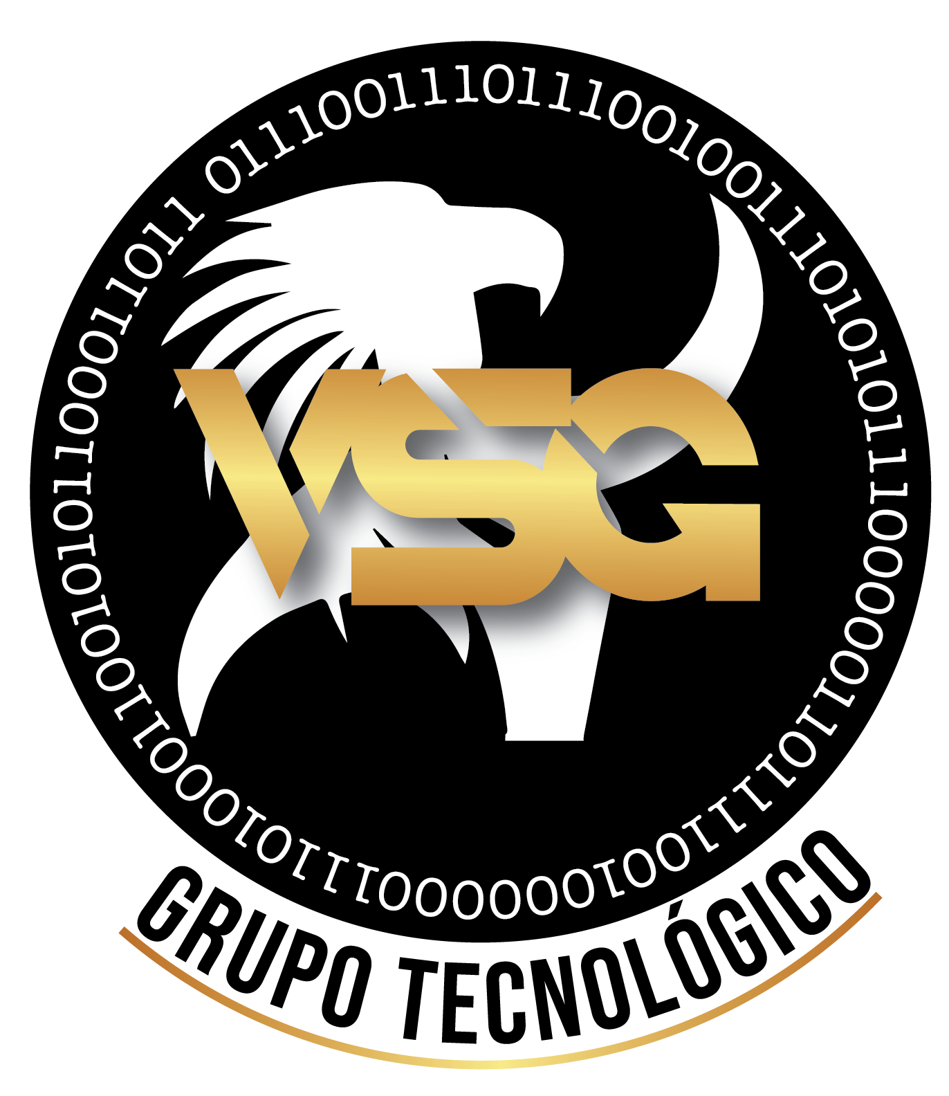 Logotipo VSG